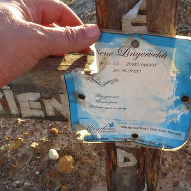 LINGERVELDT ??tiene ??15-2020