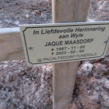 MAASDORP Jaque 1987-2023