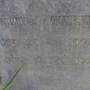 MULLER Frikkie 1902-1974