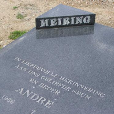 MEIRING Andre 1966-1995 _1