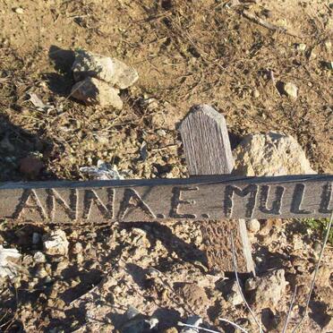 MULLER Anna E.