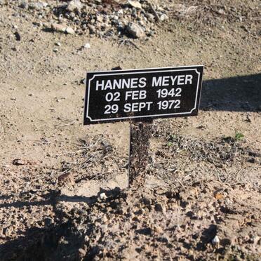 MEYER Hannes 1942-1972