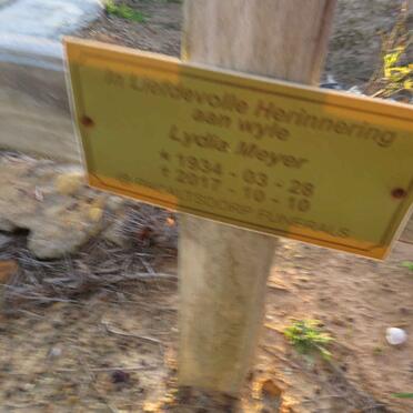MEYER Surnames :: MEYER Vanne