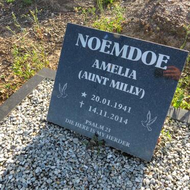 NOEMDOE Amelia 1941-2014