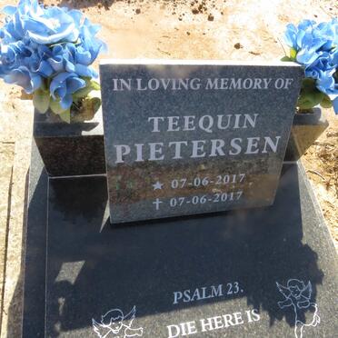 PIETERSEN Teequin 2017-2017