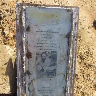 PIETERSEN Pricilla C.A. 2008