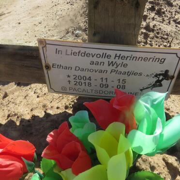 PLAATJIES Ethan Danovan 2004-2018