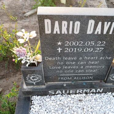 SAUERMAN Dario David 2002-2019
