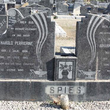 SPIES Harold Perrigrine 1894-1960 &amp; Johanna Elizabeth BREYTENBACH 1907-1983