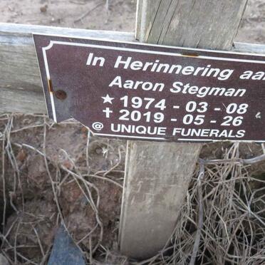 STEGMAN Aaron 1974-2019