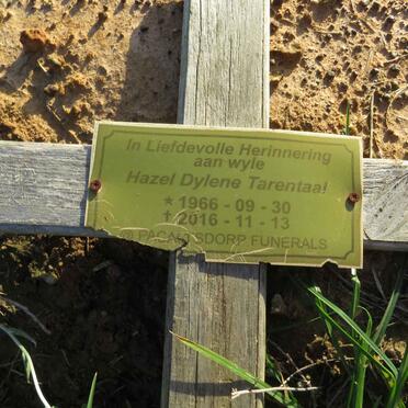 TARENTAAL Hazel Dylene 1966-2016