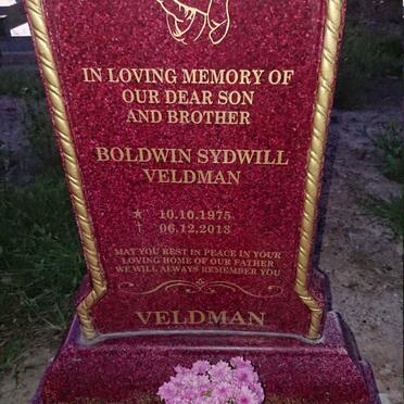 VELDMAN Boldwin Sydwill 1975-2013