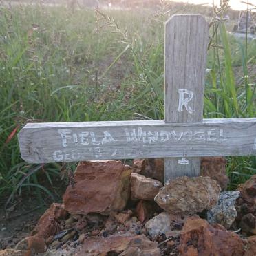 WINDVOGEL Fiela 