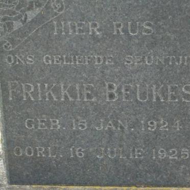 BEUKES Frikkie 1924-1925
