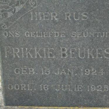 BEUKES Frikkie 1924-1925