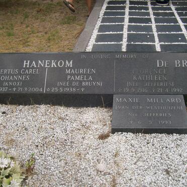 HANEKOM :: MILLARD :: VAN DER WESTHUIZEN :: JEFFERIES :: DE BRUYN 