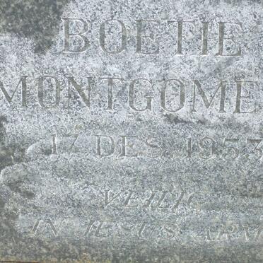 MONTGOMERY Boetie -1953