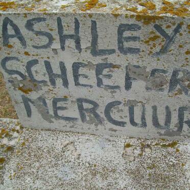 MERCUUR Ashley Scheepers