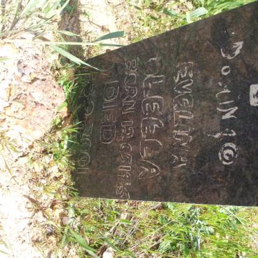 DOMINIO Evelina Aletta 1945-2001