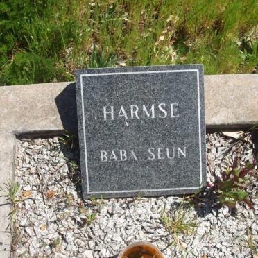HARMSE Infant son