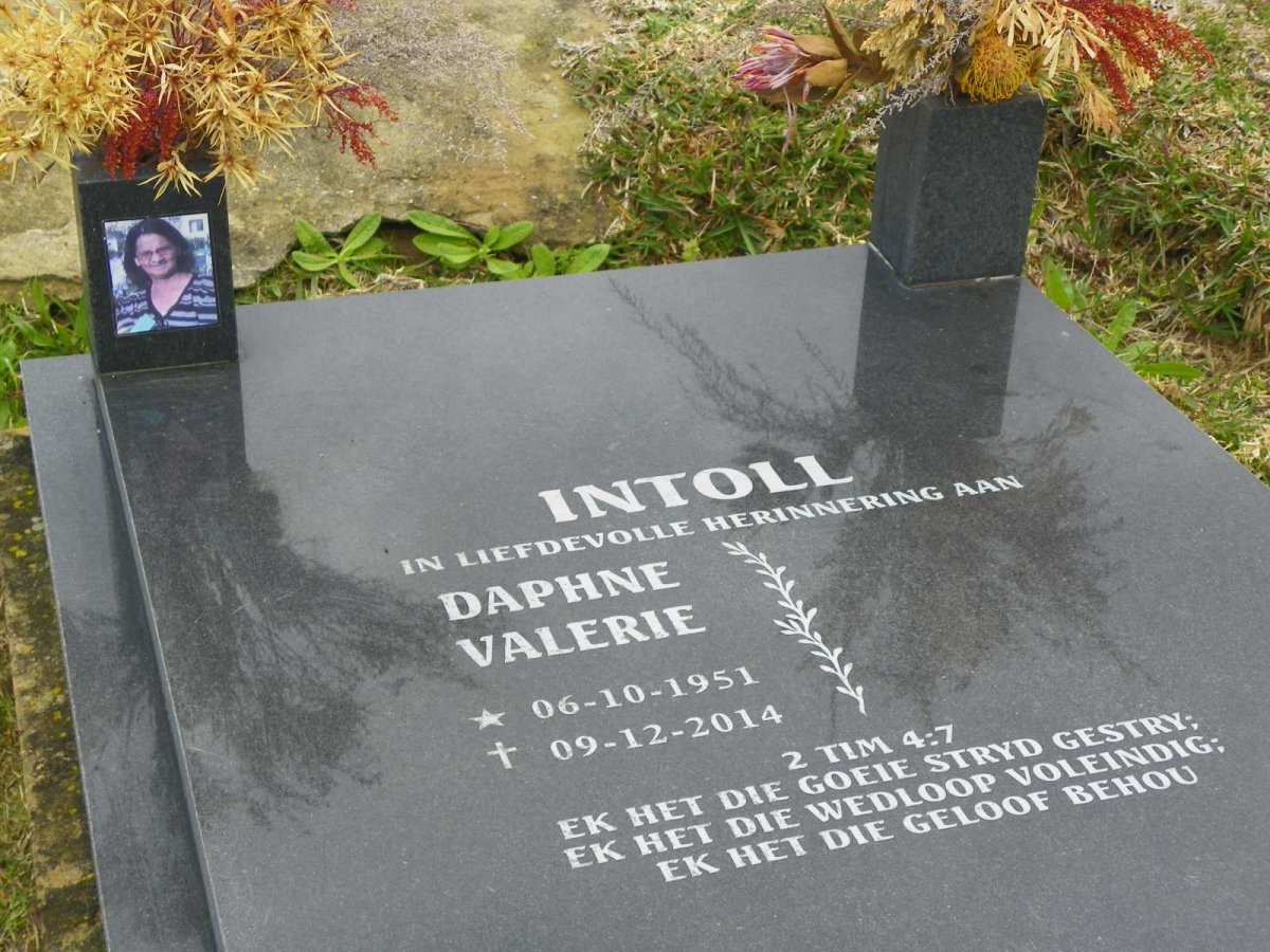 INTOLL Daphne Valerie 1951-2014