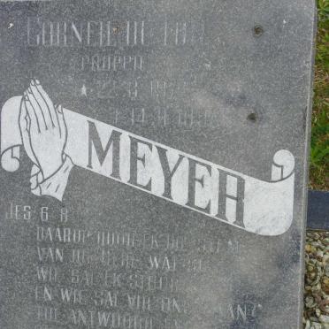 MEYER Corneil du Toit 1974-1992