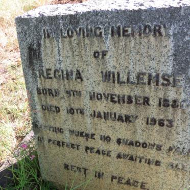 WILLEMSE Regina 1880-1963