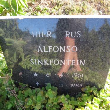 SINKFONTEIN Alfonso 1961-1985