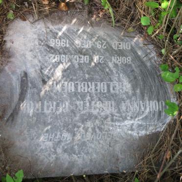 GELDERBLOEM Johanna Hester Gertruida 1902-1965