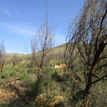 Western Cape, GEORGE district, Klein Langkloof, Boskloof, Kliprivier 122, farm cemetery_1