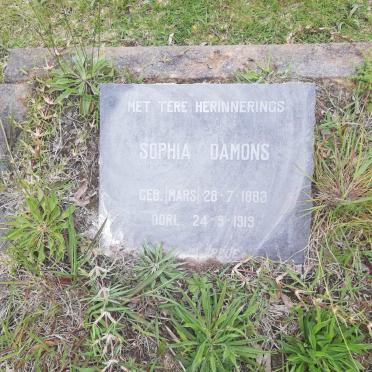 DAMONS Sophia nee MARS 1883-1919