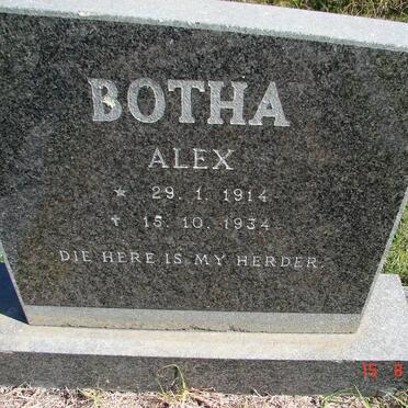BOTHA Alex 1914-1934