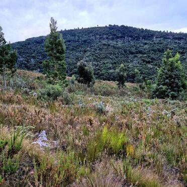 4. Oorsig/Overview