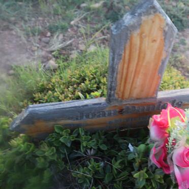 DANIELS Joan 1961-2022 (2)
