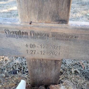 WINDWAAI Shayden Chenay 2021-2021