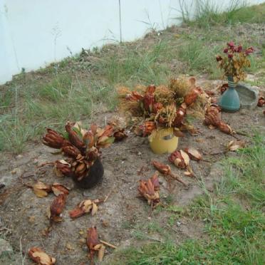 3. Unmarked Grave