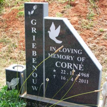 GRIEBENOUW Corne 1968-2011