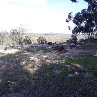 1. Overview