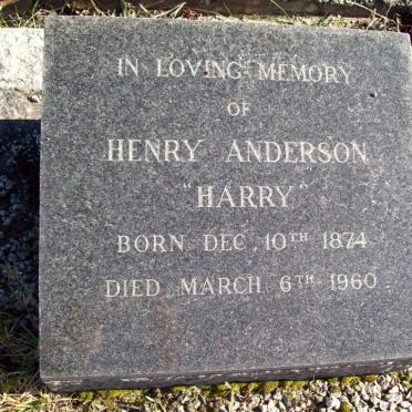 ANDERSON Henry 1874-1960