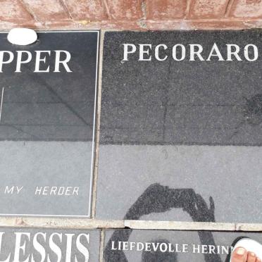PECARARO