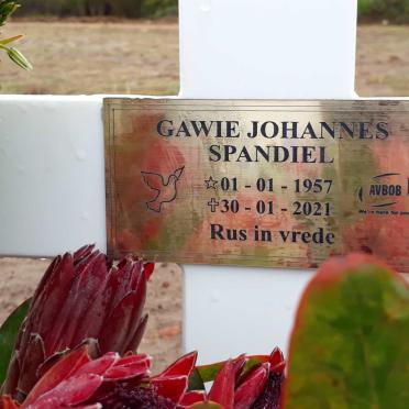 SPANDIEL Gawie Johannes 1957-2021