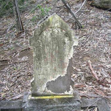 PLESSIS Hermanus Jacobus, du 1859-19??