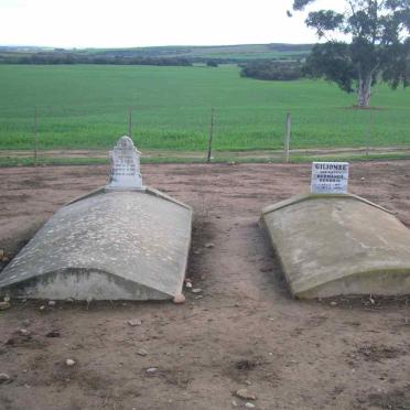 1. Overview on graves