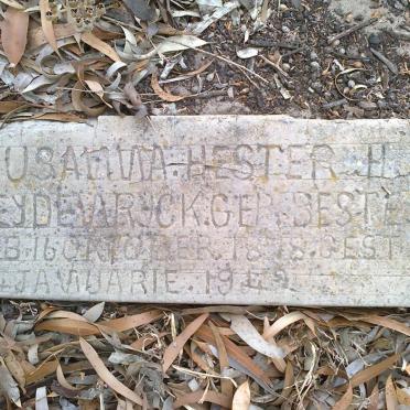 HEYDENRYCK Susanna Hester H. nee BESTER 1878-1942