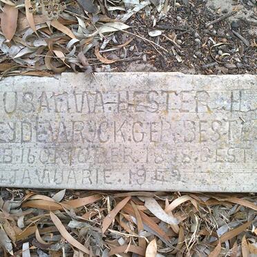 HEYDENRYCK Susanna Hester H. nee BESTER 1878-1942