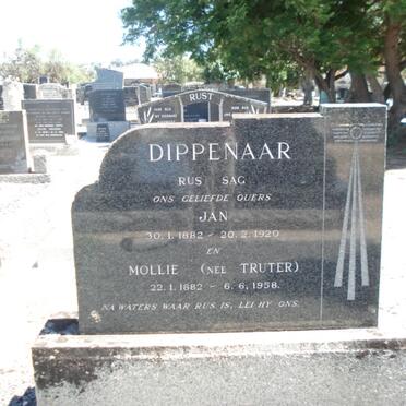 DIPPENAAR Jan 1882-1920 &amp; Mollie TRUTER 1882-1958