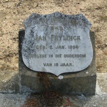 FRYLINCK Jan 1894-