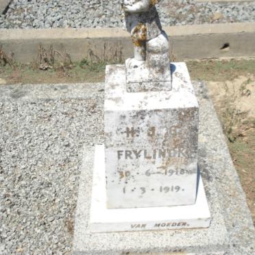 FRYLINCK H.J.G. 1918-1919