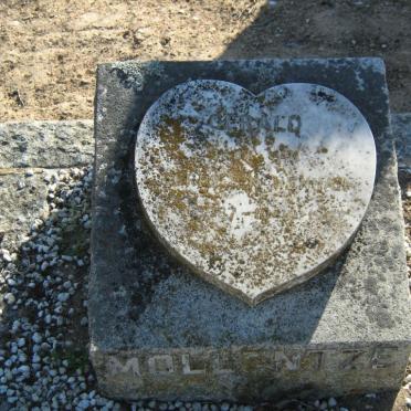 MOLLENTZE Gerald 1967-1967