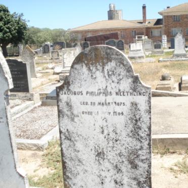 NEETHLING FAMILY